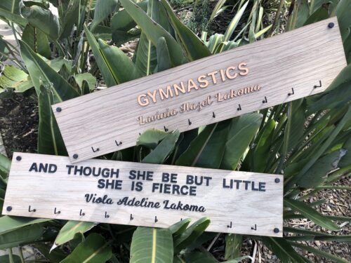 Gymnastics Medals Display Rack